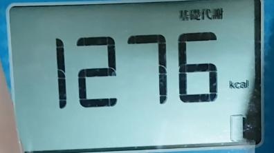 13.jpg 試用