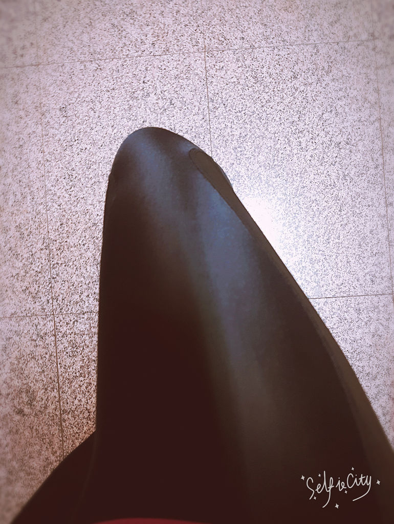 SelfieCity_20161106195021_save.jpg 試用