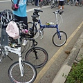 P1010291.JPG