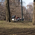 20090318_132中央公園.JPG