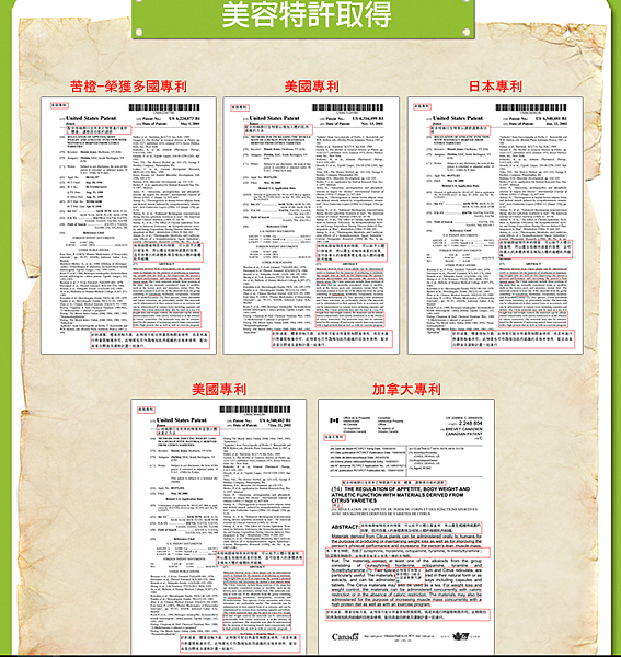 試用