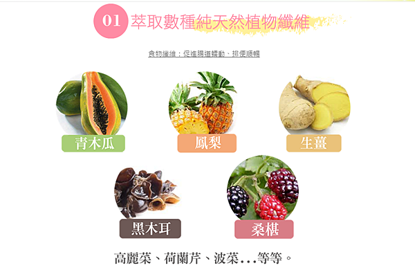 美酵素1.PNG 試用
