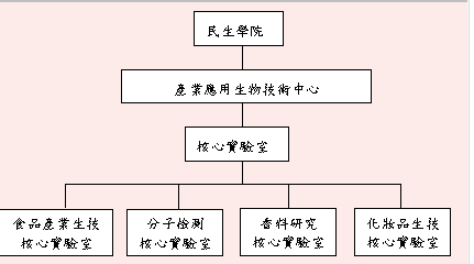 試用