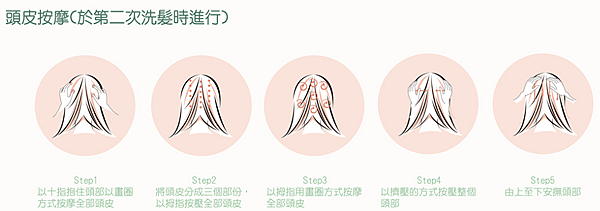 試用