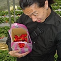 狂多的草莓.JPG