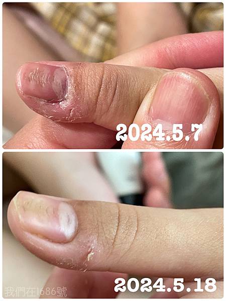 中南商行松脂膏、洗髮露、沐浴露，修復滋潤肌膚的好伙伴