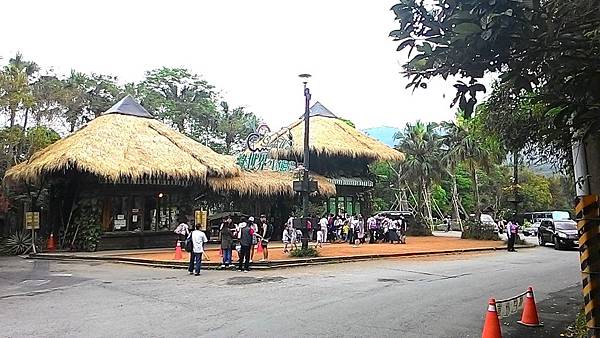 P_20180404_135706.jpg P_20180404_135706.jpg