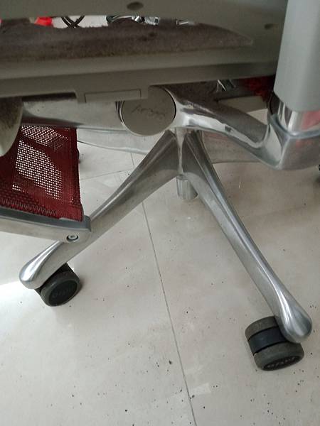 我兒是孝順的典範