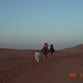 沙漠中騎駱駝