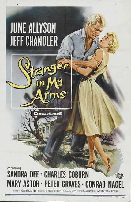 孤孀情淚 (A Stranger in My Arms) 孤孀情淚 (A Stranger in My Arms)