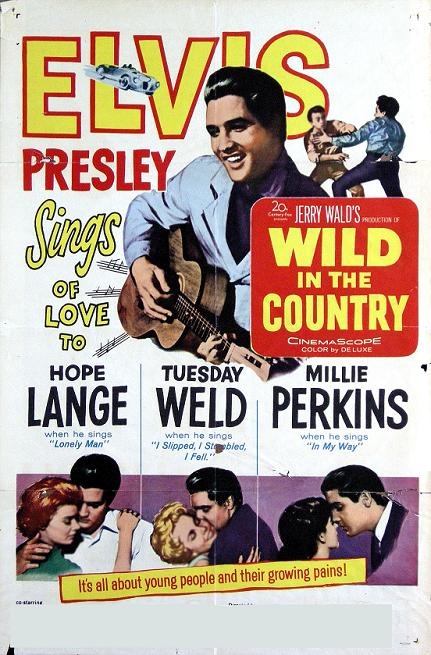 野鄉 (Wild in the Country) 野鄉 (Wild in the Country)