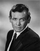 大衛強遜 (David Janssen)