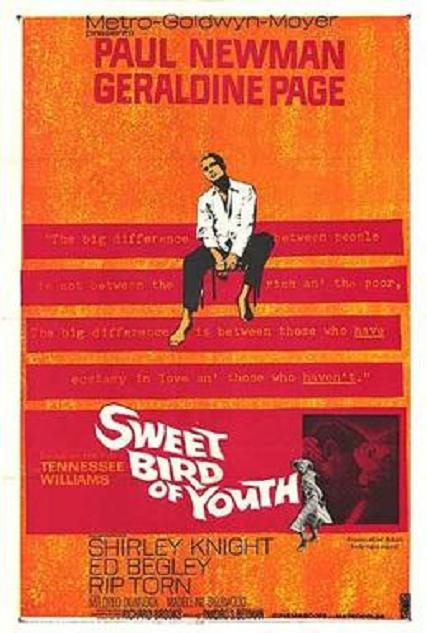 春濃滿樓情癡狂 (Sweet Bird of Youth 春濃滿樓情癡狂 (Sweet Bird of Youth