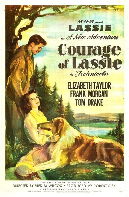 義犬歷險 (Courage of Lassie) 義犬歷險 (Courage of Lassie)
