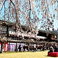 京阪自由行-day4-2 醍醐寺三寶院(80).jpg