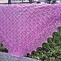 wavy leaves and butterflies shawl (12).jpg