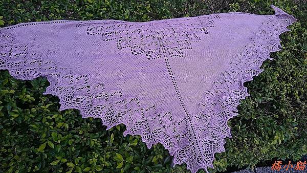 Princess Swan Shawl (28).jpg