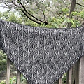 Eleonora Shawl   (35).jpg