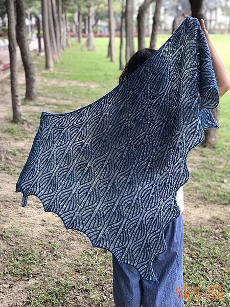 The tourist shawl (42).JPG The tourist shawl (42).JPG