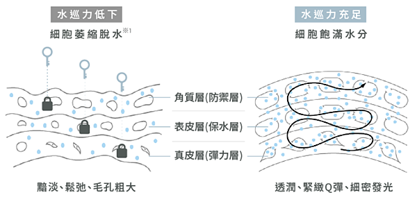 螢幕快照 2019-01-10 下午11.44.04.png