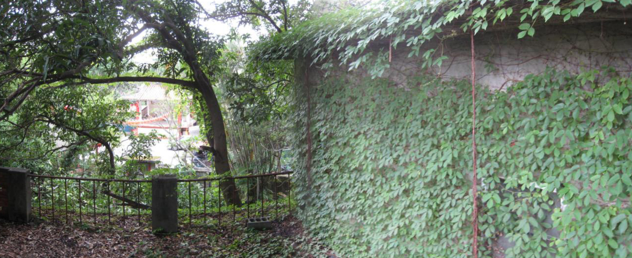 IMG_6547小檔.jpg IMG_6547小檔.jpg