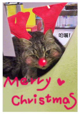 Merry Christmas Merry Christmas