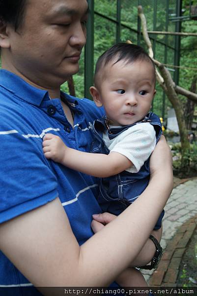 DSC08070.JPG