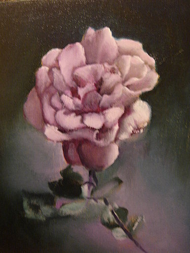 Pink rose.jpg