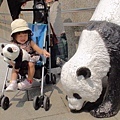 台北動物園熊貓館.jpg