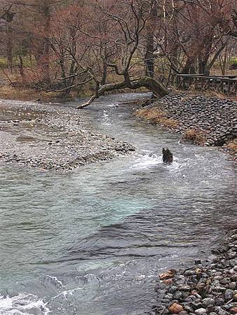 日本北陸行 057.JPG