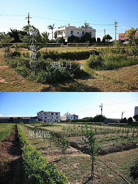 08從農園東北角拍攝