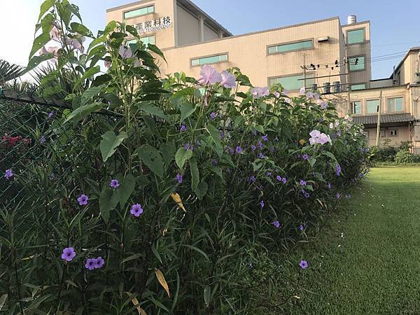 S__3473483.jpg S__3473483.jpg