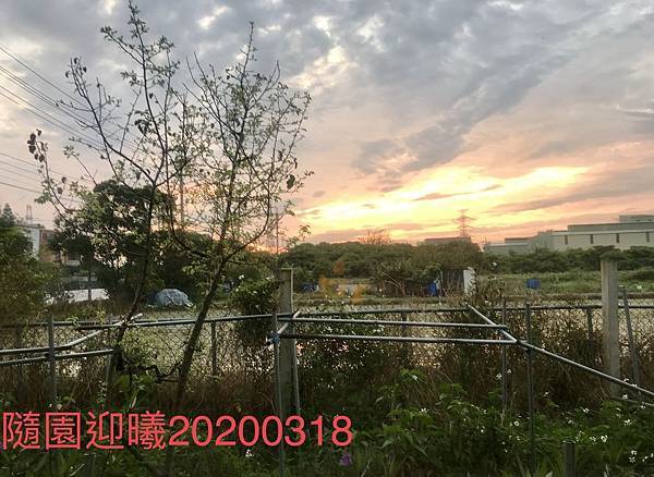 2C4C412D-7026-40EF-89BC-9D850052875C.jpg 2C4C412D-7026-40EF-89BC-9D850052875C.jpg