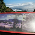 山毛櫸-015.JPG