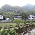 abm坪林20140512.jpg