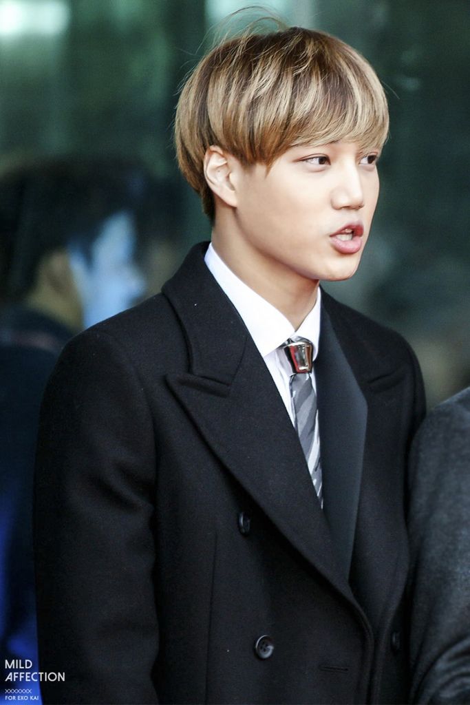 150113 SM아티움 개관식 레드카펫 카이