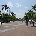 IMG_9004