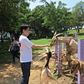IMG_2209