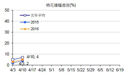 棉花