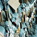 118.jpg
