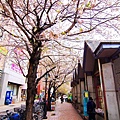 010(001).jpg