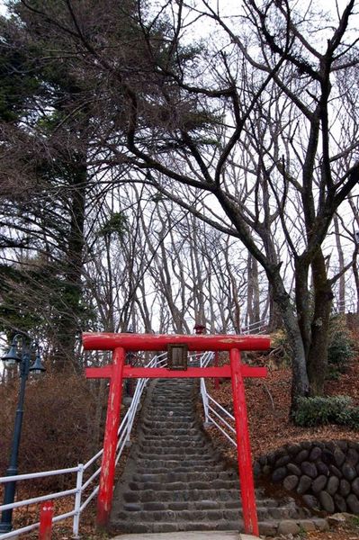 DSC_0071_nEO_IMG(001).jpg