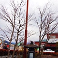 DSC_0105_nEO_IMG.jpg