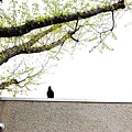 2007_0424_193638.jpg