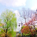 2007_0424_193644.jpg