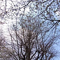 2007_0424_193646.jpg