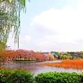 2007_0424_193650.jpg