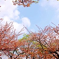 2007_0424_193652.jpg