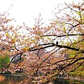 2007_0424_193654.jpg