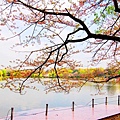2007_0424_193656.jpg